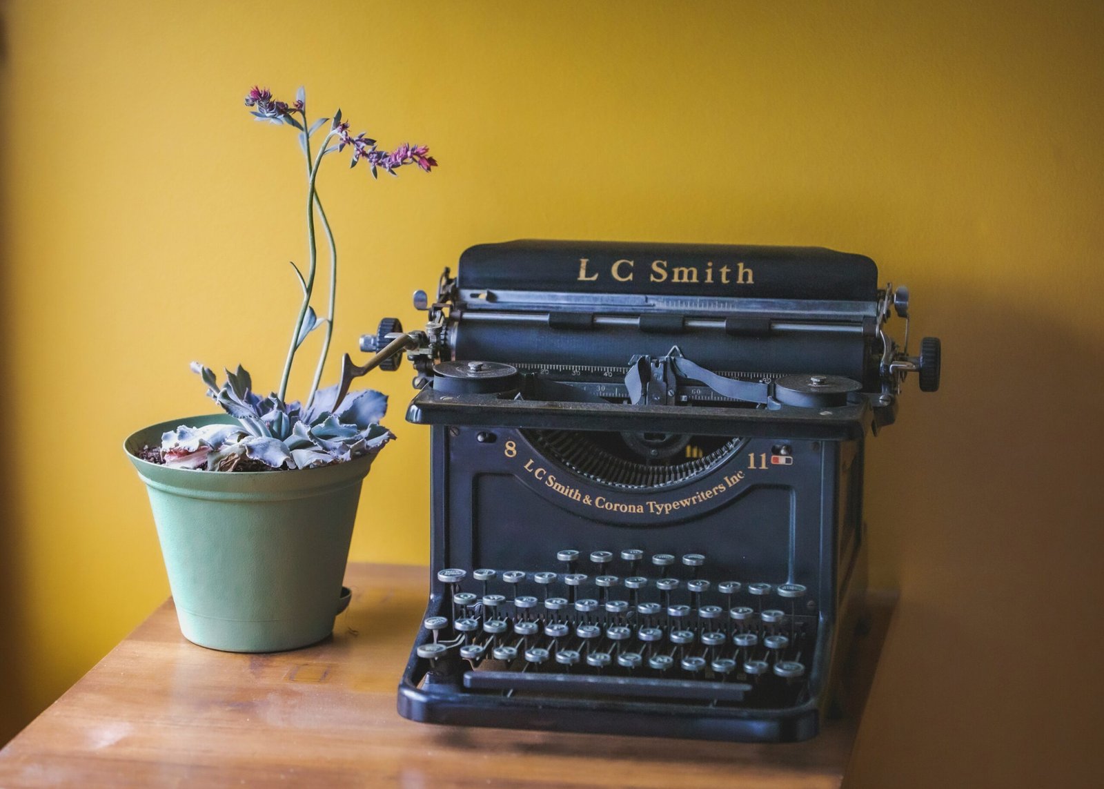 Vintage typewriter with a potted plant on a wooden desk, symbolizing creativity and growth in writing. Overcome self-doubt and build confidence as a writer.